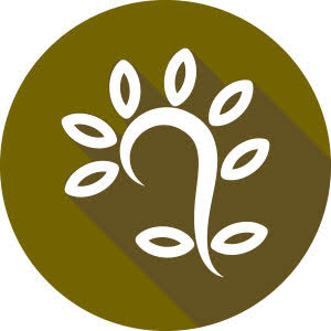 Ambrozie icon