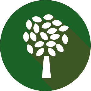 Dřeviny icon