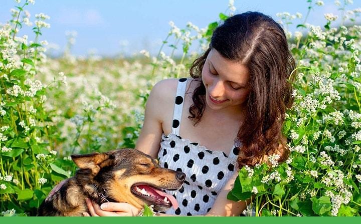 Žena se psem na louce